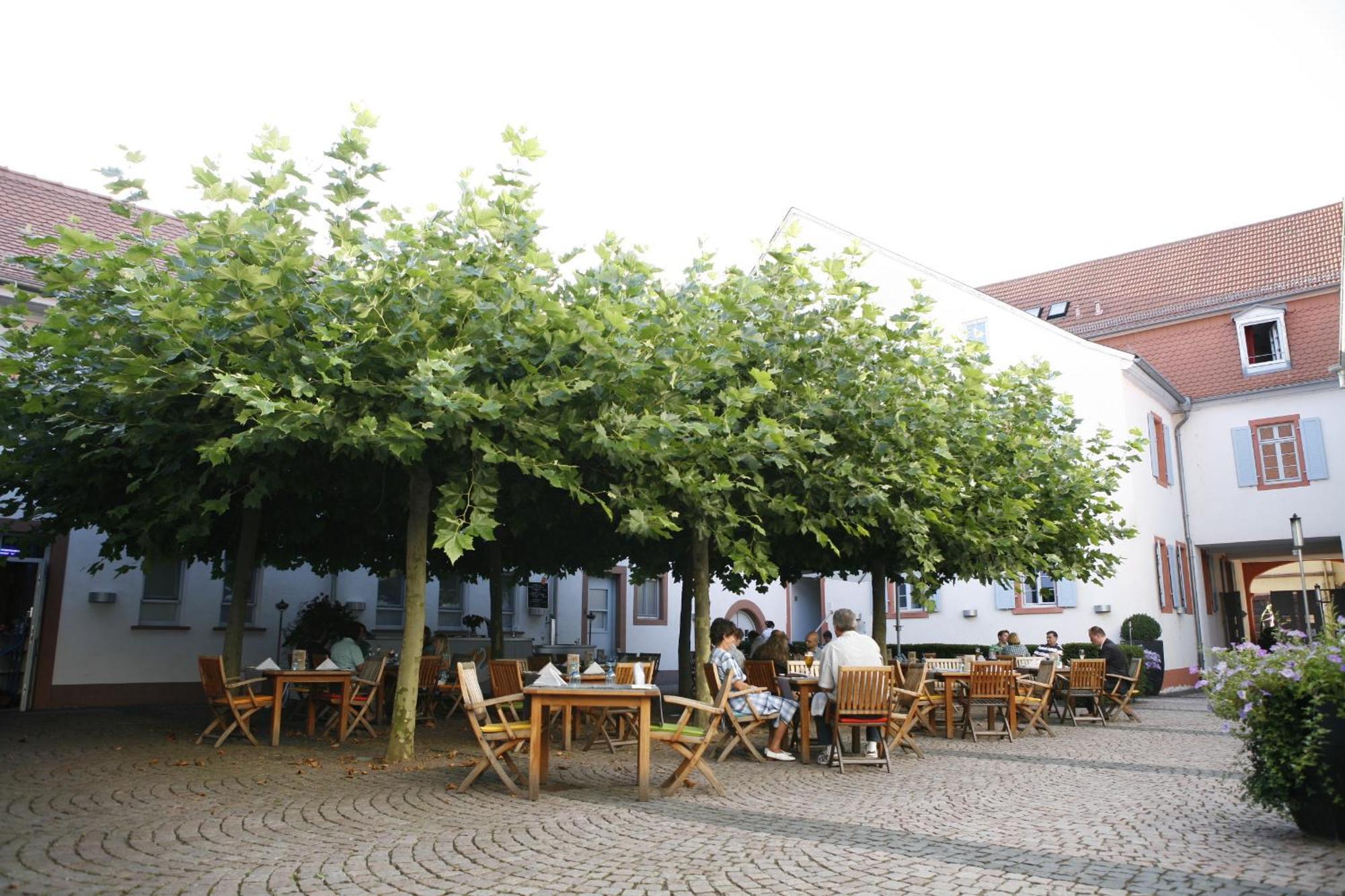 Landhotel Zum Schwanen Mit Restaurant Mona Liza Osthofen Экстерьер фото